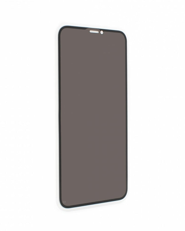 Zastitno staklo Tempered Glass Privacy 2.5D full glue za iPhone XR crni
