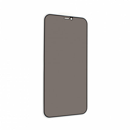 Zastitno staklo Tempered Glass Privacy 2.5D full glue za iPhone 12/12 Pro 6.1 crna
