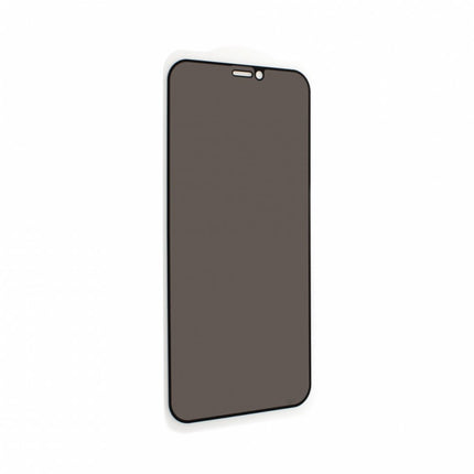 Zastitno staklo Tempered Glass Privacy 2.5D full glue za iPhone 12 Mini 5.4 crna
