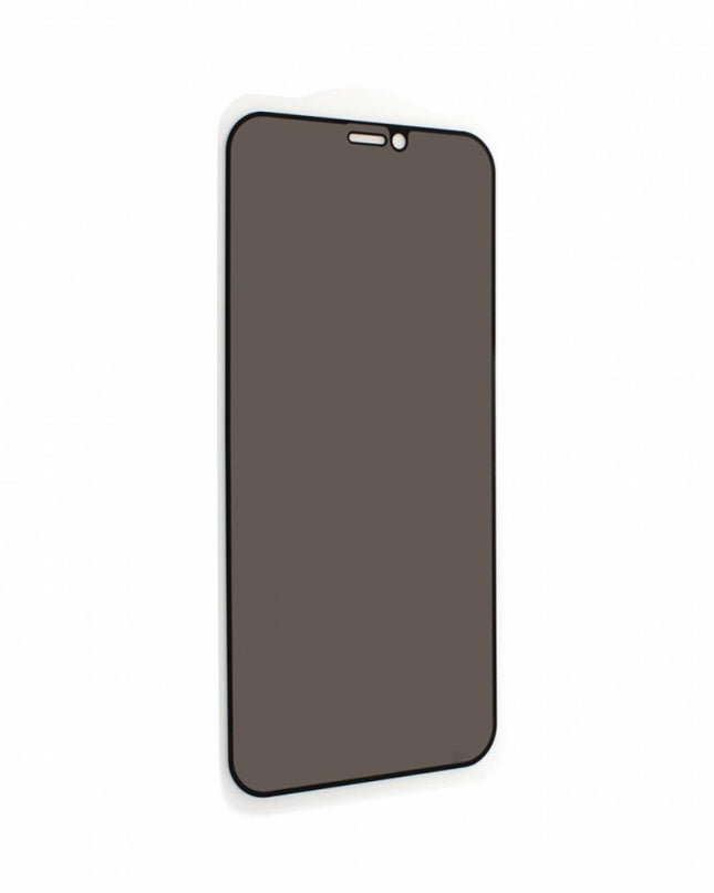 Zastitno staklo Tempered Glass Privacy 2.5D full glue za iPhone 12 Mini 5.4 crna