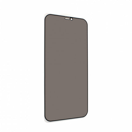 Zastitno staklo Tempered Glass Privacy 2.5D full glue za iPhone 12 Max Pro 6.7 crna