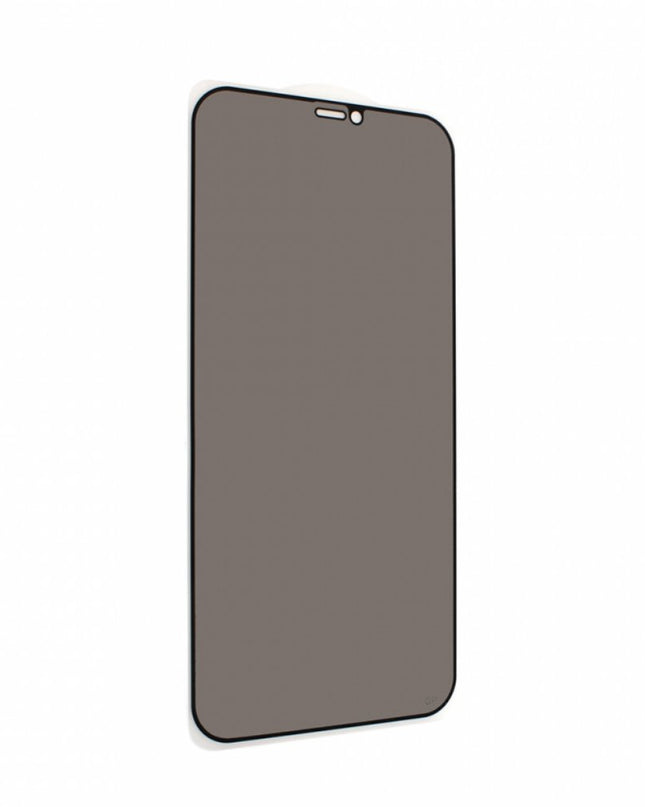 Zastitno staklo Tempered Glass Privacy 2.5D full glue za iPhone 12 Max Pro 6.7 crna