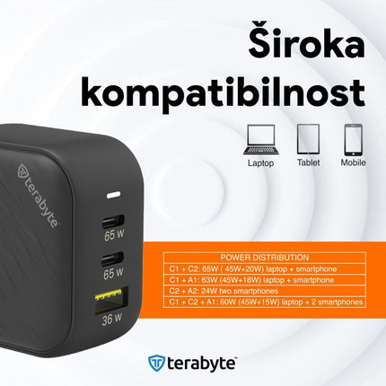 Punjac univerzalni Terabyte TR65W, GaN, PPS, PD 3.0, QC 3.0, 65W sa PD Type c kablom CE crna